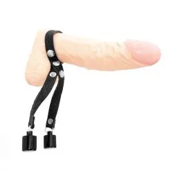 COLLECTION DEMONIA COCKRING CUIR + POIDS 2 X 50 GR