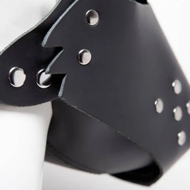 COLLECTION DEMONIA MASQUE CUIR CHIEN – Image 3