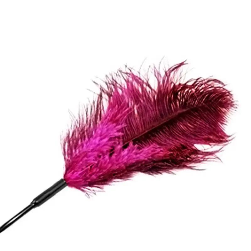 PLUME ROSE – Image 2