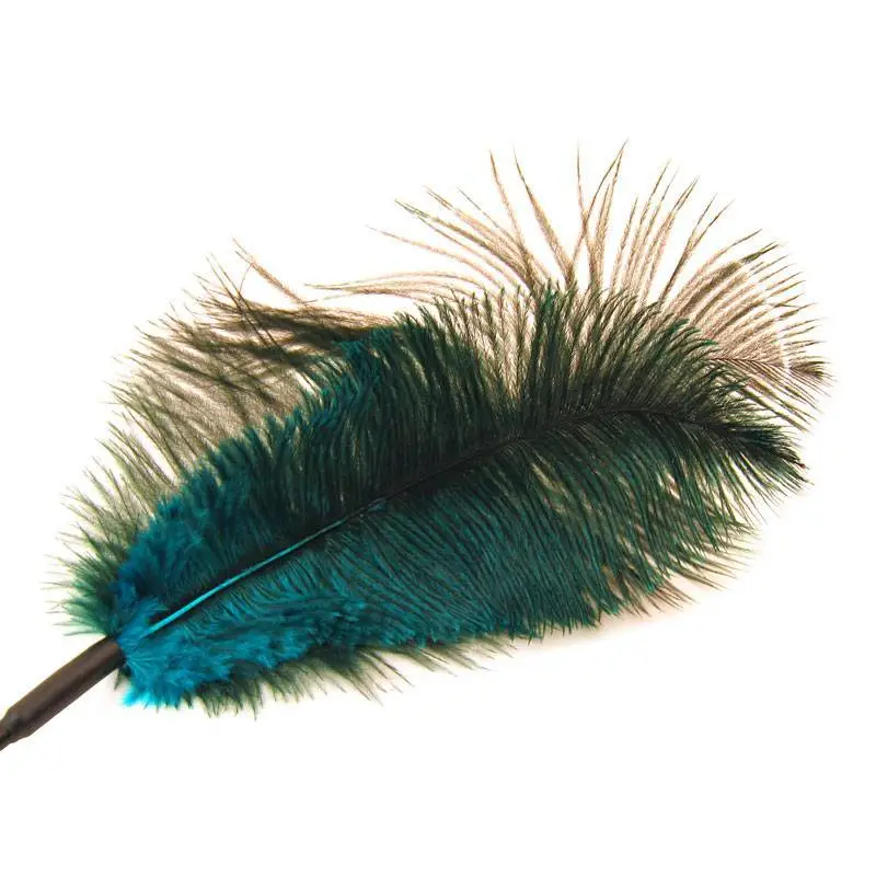 PLUME TURQUOISE â Image 2
