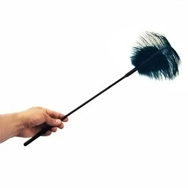 PLUME TURQUOISE â Image 4